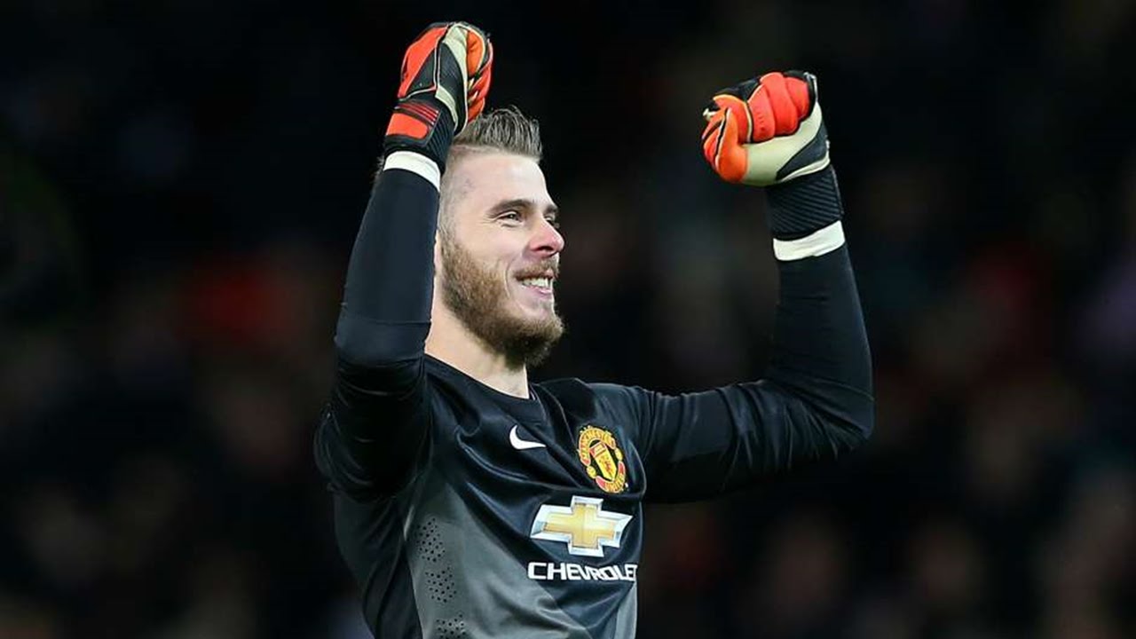 David de Gea - Red Panther - Best Saves - Manchester United - 2014/15 HD