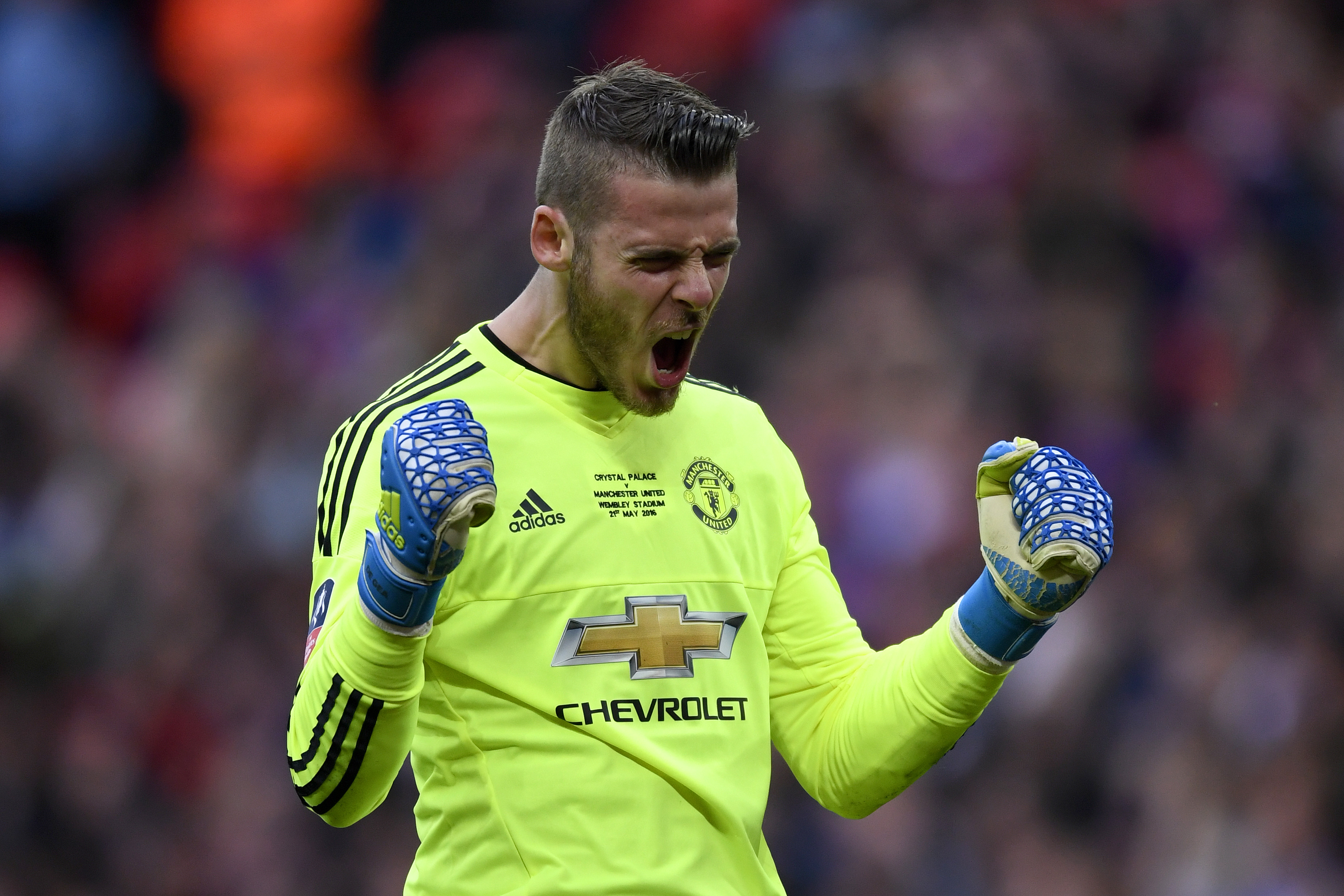 LONDON, ENGLAND - MAY 21:  David De Gea of Manchester United celebrates as Jesse Lingard of Manchester United scores their second goal during The Emirates FA Cup Final match between Manchester United and Crystal Palace at Wembley Stadium on May 21, 2016 in London, England.  (Photo by Mike Hewitt/Getty Images)