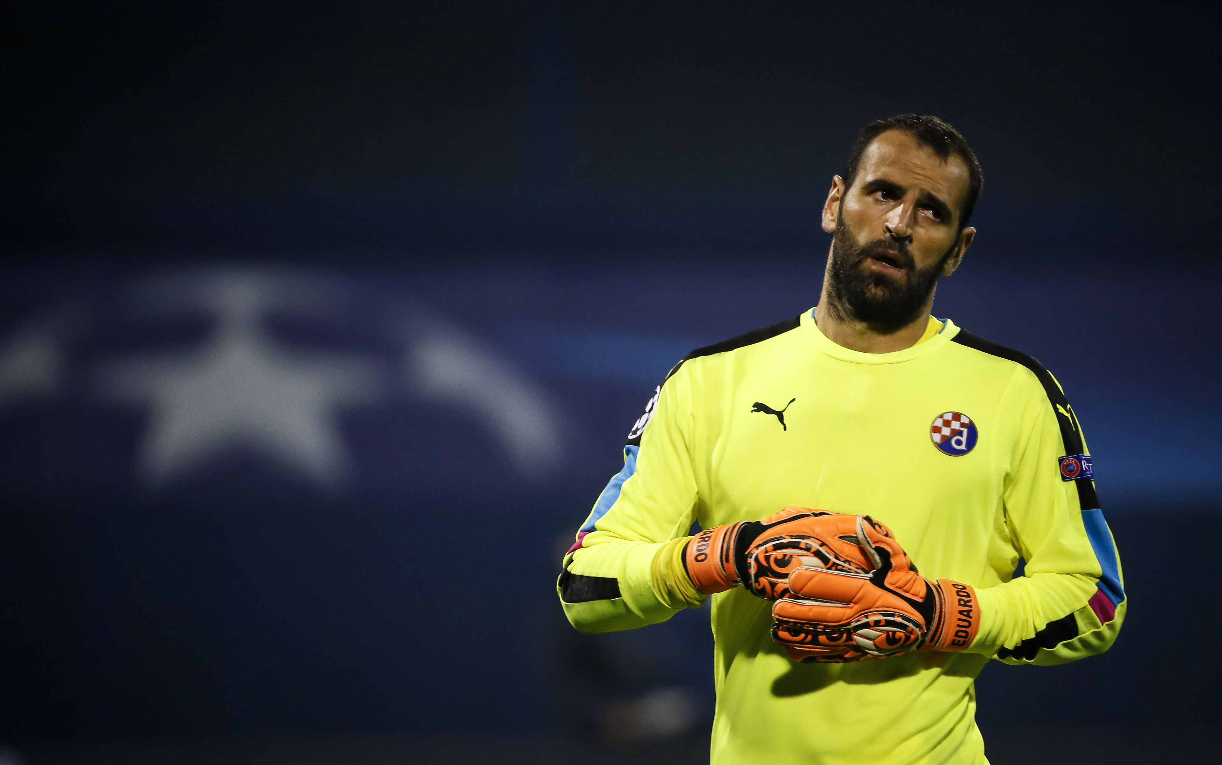 ZAGREB, CROATIA - AUGUST 16: Goalkeeper Eduardo of Dinamo Zagreb looks on during the UEFA Champions League Play-offs First leg match between Dinamo Zagreb and Salzburg at Stadion Maksimir on August 16, 2016 in Zagreb, Croatia. (Photo by Srdjan Stevanovic/Getty Images)