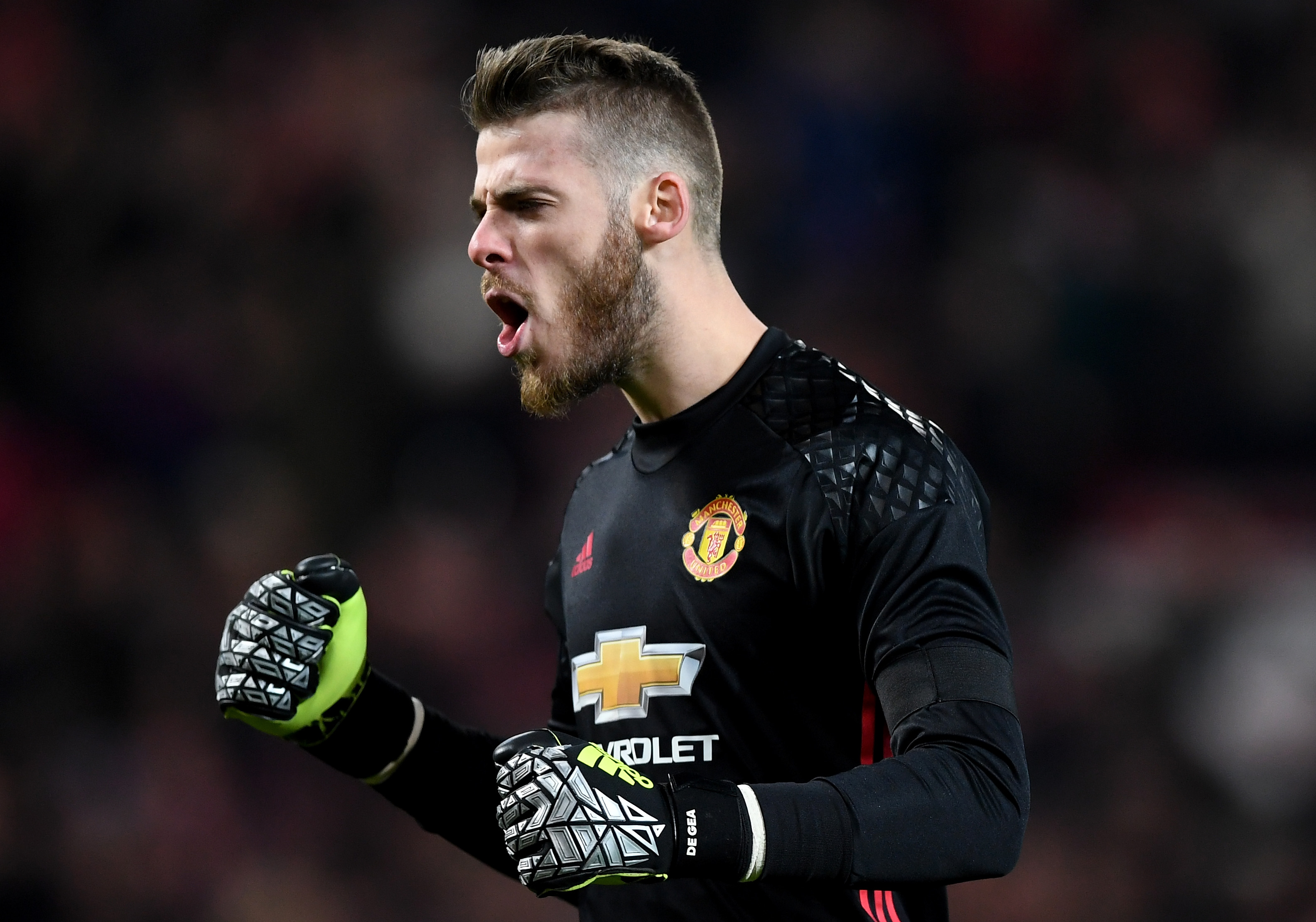 MANCHESTER, ENGLAND - NOVEMBER 30:  David De Gea of Manchester United celebrates after teammate Zlatan Ibrahimovic of Manchester United scores the opening goal during the EFL Cup quarter final match between Manchester United and West Ham United at Old Trafford on November 30, 2016 in Manchester, England.  (Photo by Shaun Botterill/Getty Images)