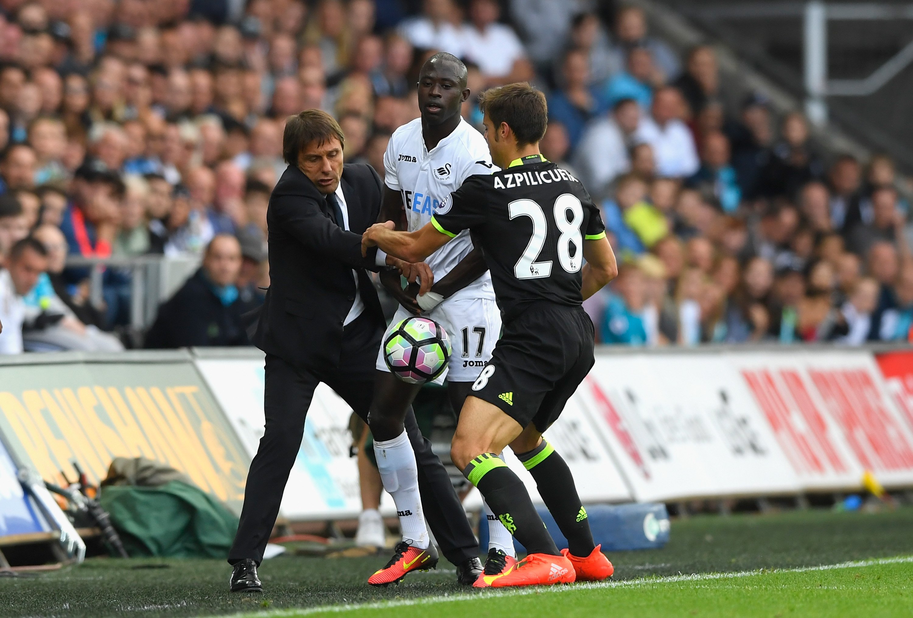 SWANSEA, WALES - SEPTEMBER 11:  Chelsea manager Antonio Conte battles to get the ball back with Cesar Apilicueta (r) from Swansea forward Modou Barrow during the Premier League match between Swansea City and Chelsea at Liberty Stadium on September 11, 2016 in Swansea, Wales.  (Photo by Stu Forster/Getty Images)