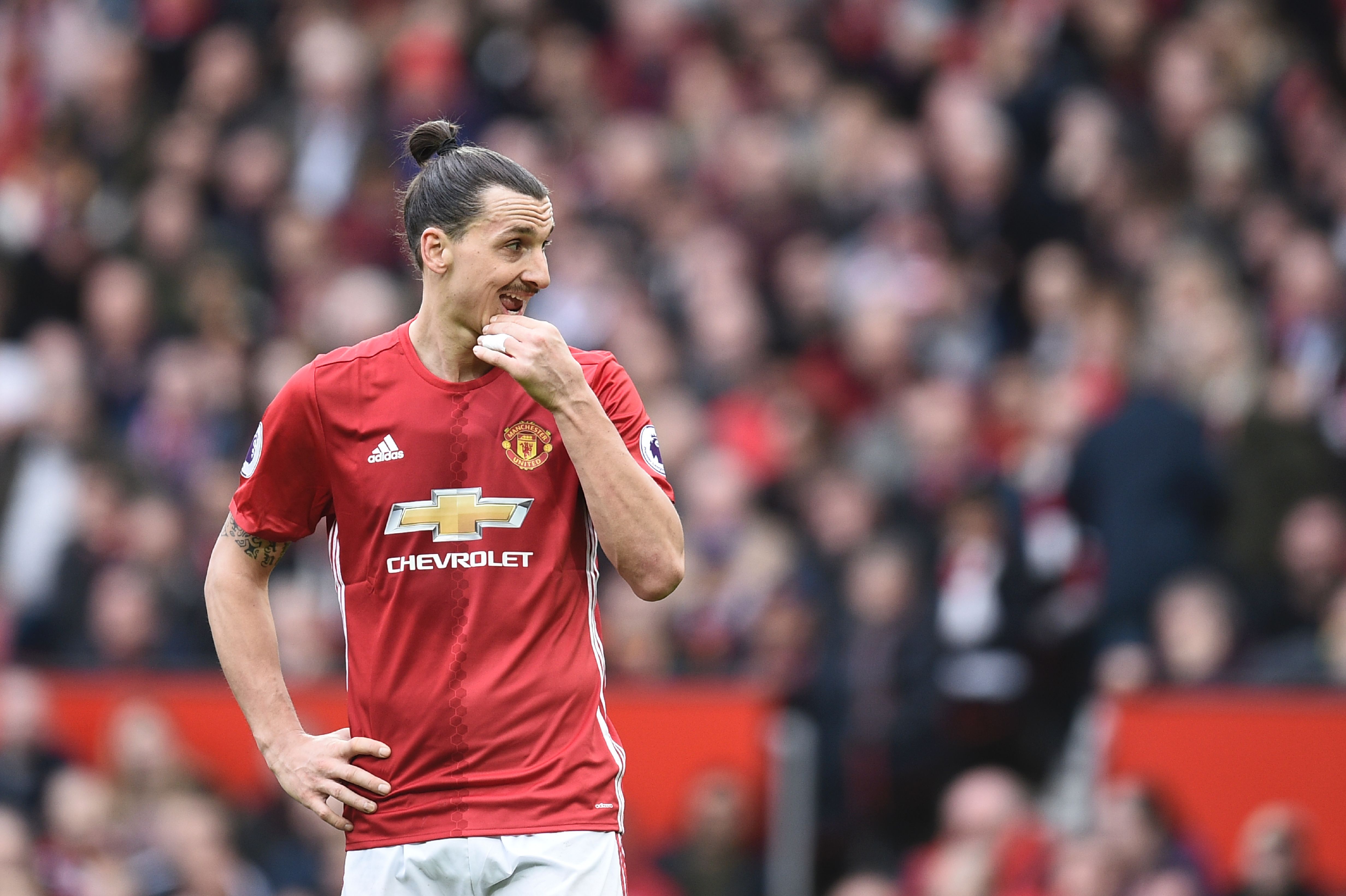 Manchester United's Swedish striker Zlatan Ibrahimovic gestures during the English Premier League football match between Manchester United and Bournemouth at Old Trafford in Manchester, north west England, on March 4, 2017. / AFP PHOTO / Oli SCARFF / RESTRICTED TO EDITORIAL USE. No use with unauthorized audio, video, data, fixture lists, club/league logos or 'live' services. Online in-match use limited to 75 images, no video emulation. No use in betting, games or single club/league/player publications.  /         (Photo credit should read OLI SCARFF/AFP/Getty Images)