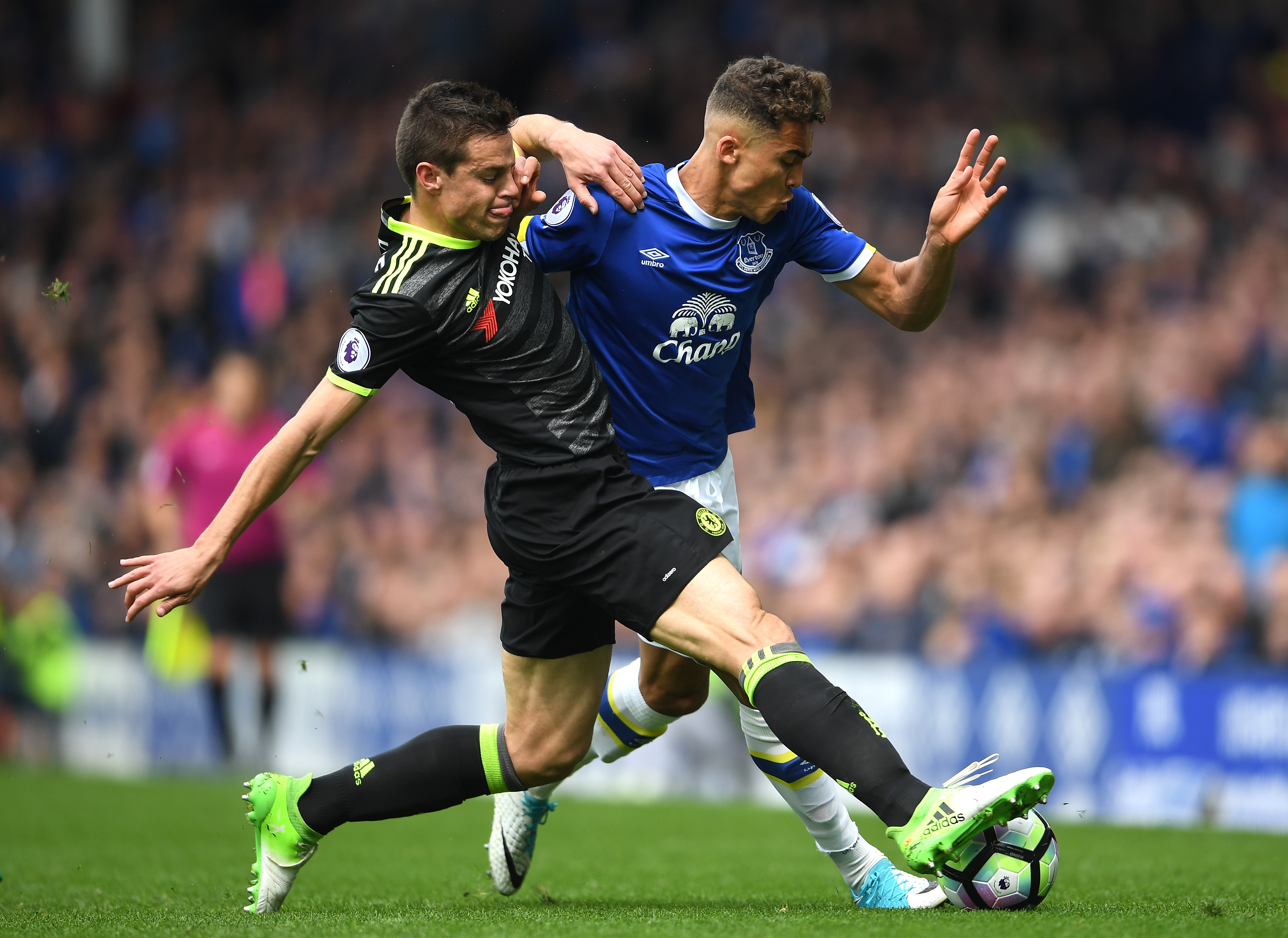LIVERPOOL, ENGLAND - APRIL 30:  Cesar Azpilicueta of Chelsea and Dominic Calvert-Lewin of Everton battle for possession during the Premier League match between Everton and Chelsea at Goodison Park on April 30, 2017 in Liverpool, England.  (Photo by Laurence Griffiths/Getty Images)