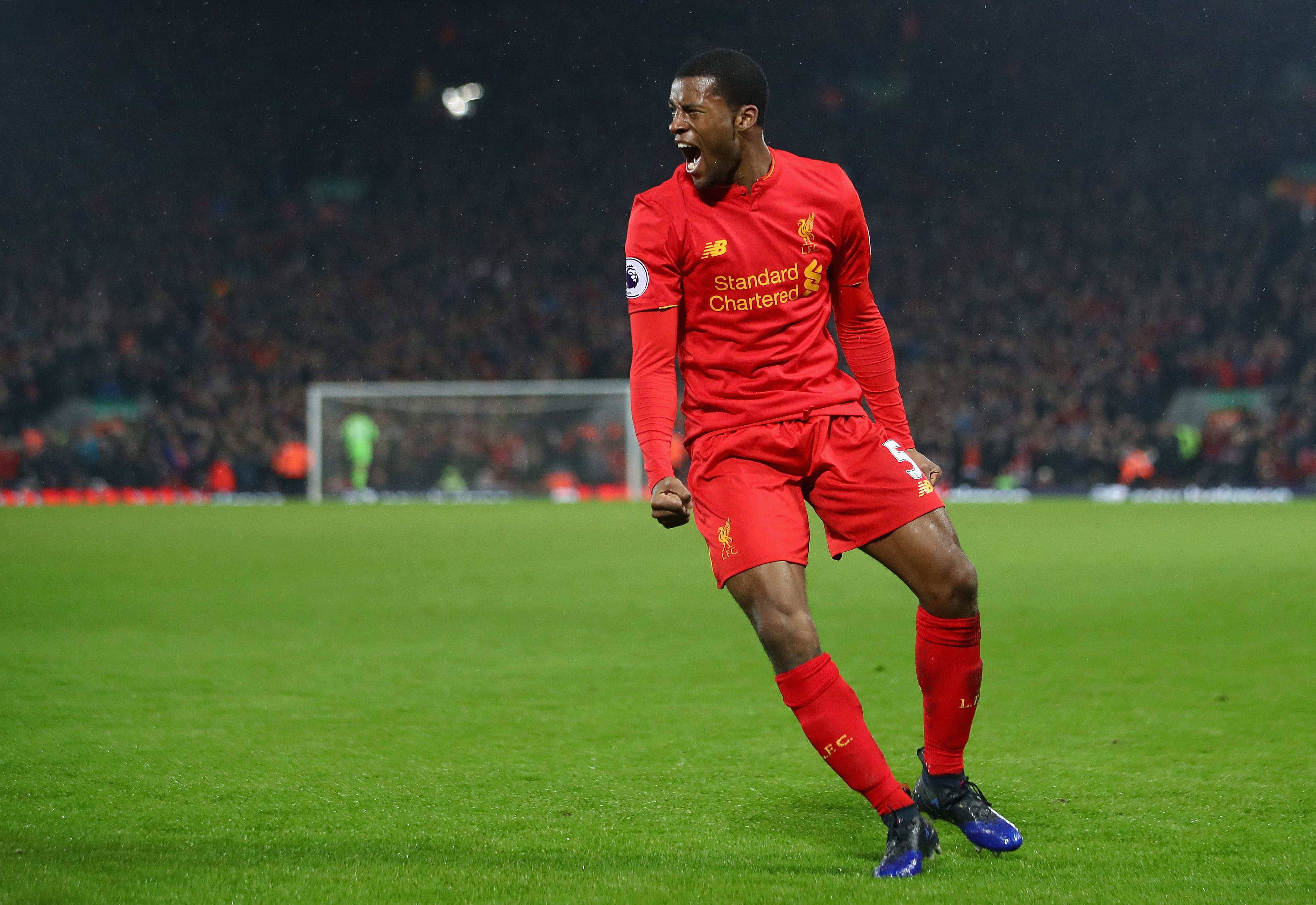 LIVERPOOL, ENGLAND - JANUARY 31:  Georginio Wijnaldum of Liverpool celebrates scoring his side's first goal to make it 1-1 during the Premier League match between Liverpool and Chelsea at Anfield on January 31, 2017 in Liverpool, England.  (Photo by Clive Mason/Getty Images)
