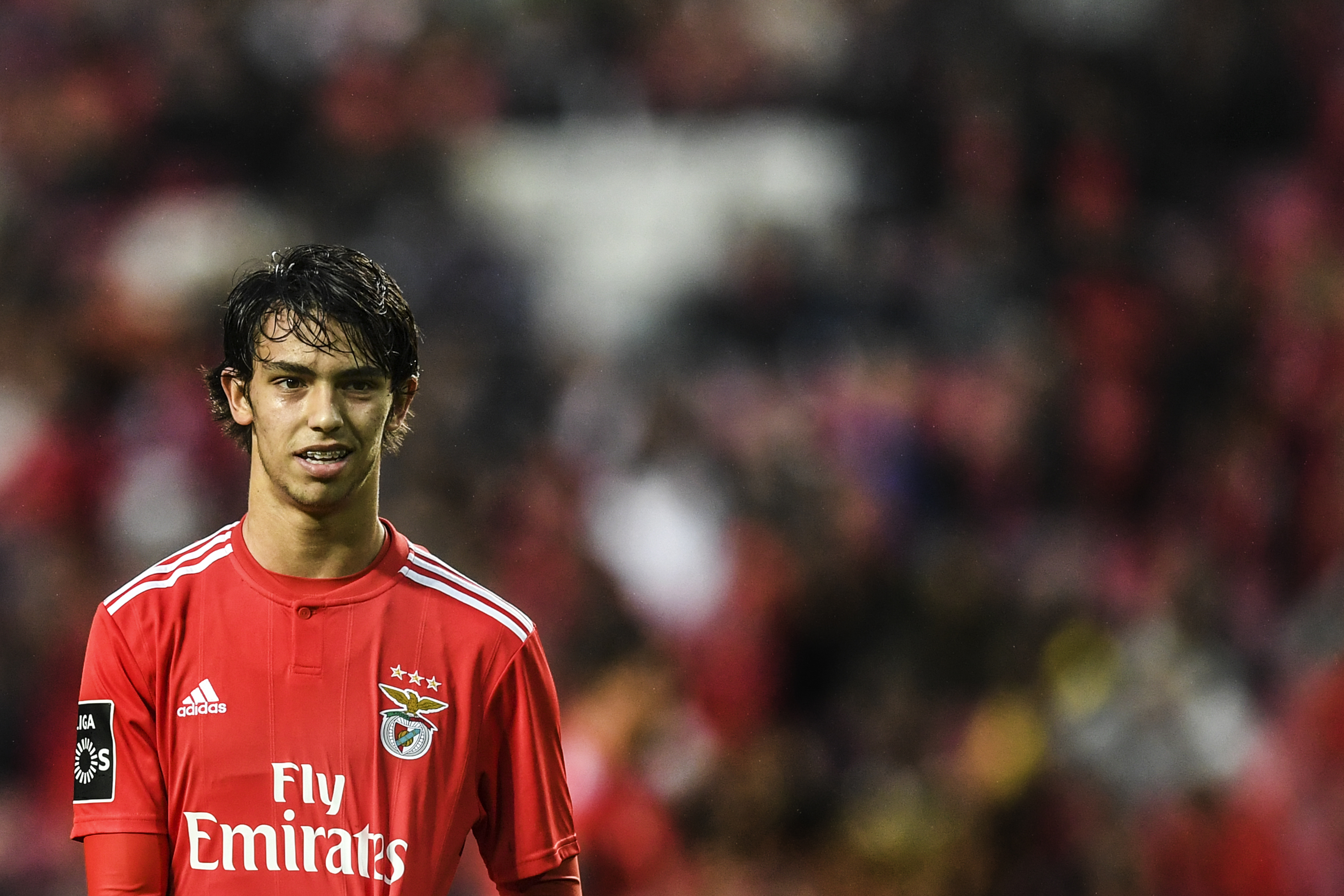 Benfica's midfielder Joao Felix looks on during the Portuguese League football match between SL Benfica and CD Nacional at the Luz stadium in Lisbon on February 10, 2019. (Photo by PATRICIA DE MELO MOREIRA / AFP)        (Photo credit should read PATRICIA DE MELO MOREIRA/AFP/Getty Images)