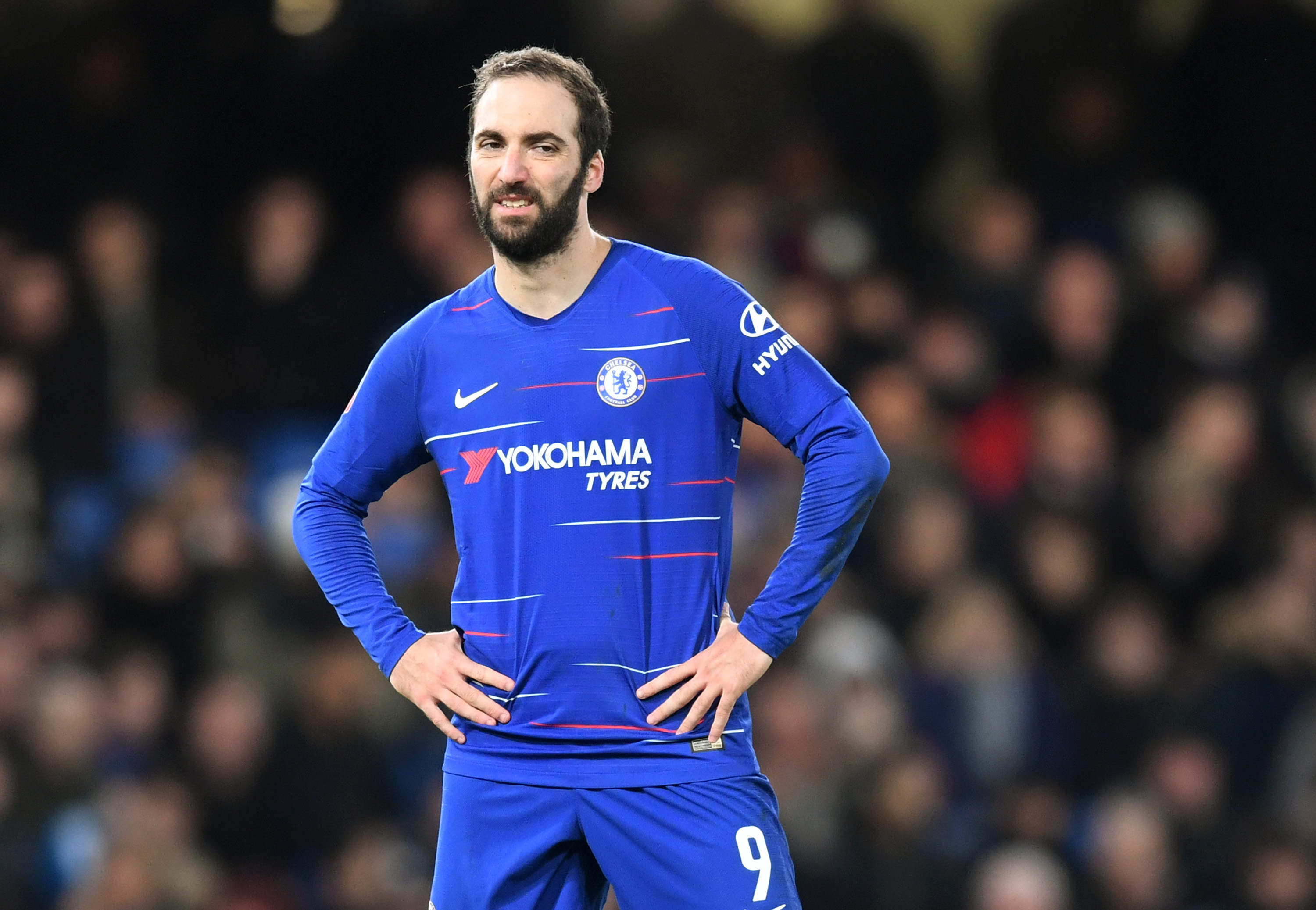 LONDON, ENGLAND - FEBRUARY 18:  Gonzalo Higuain of Chelsea looks on during the FA Cup Fifth Round match between Chelsea and Manchester United at Stamford Bridge on February 18, 2019 in London, United Kingdom. (Photo by Michael Regan/Getty Images)