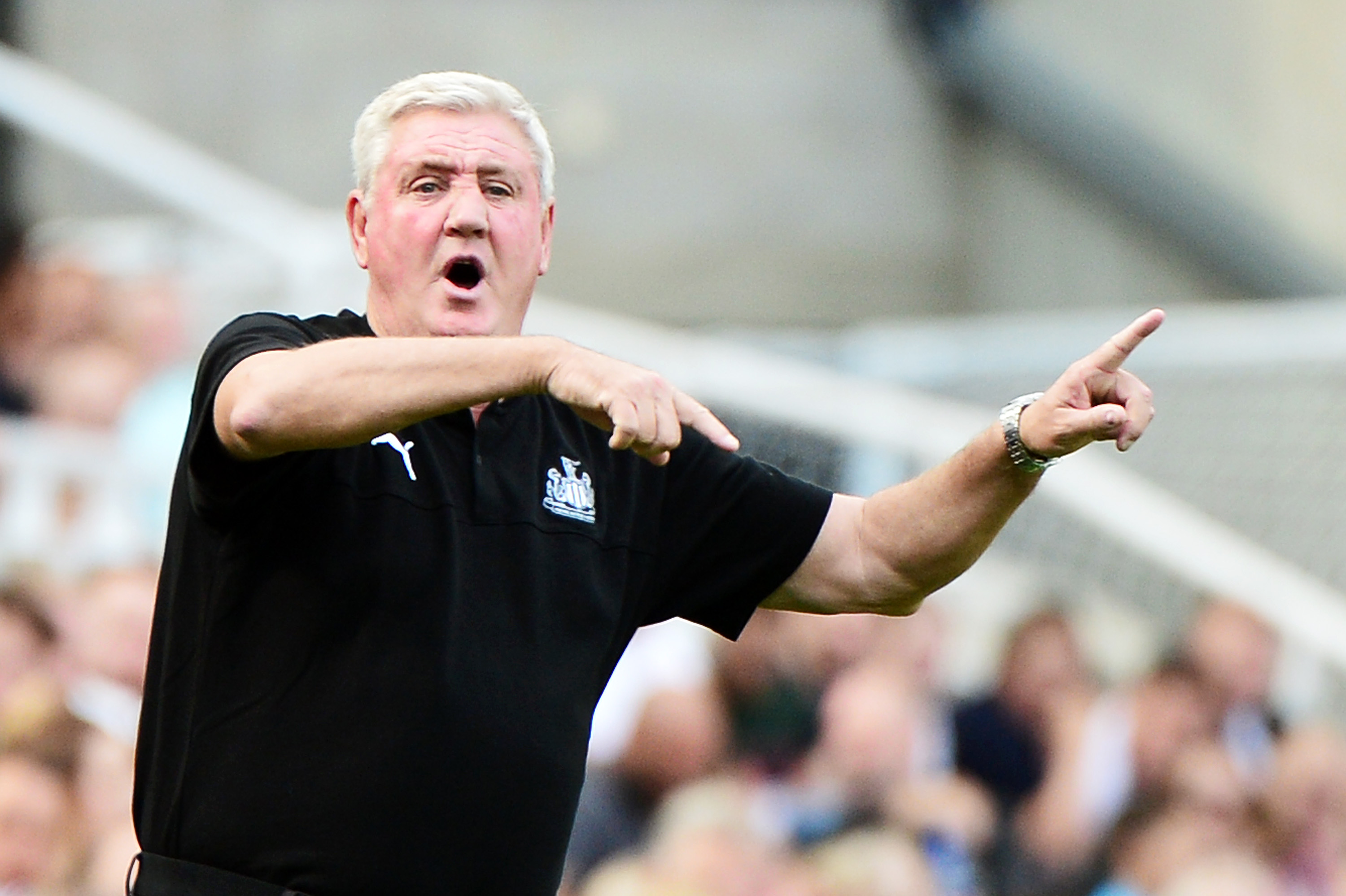 Steve Bruce is under pressure after recent results (Photo by Mark Runnacles/Getty Images)